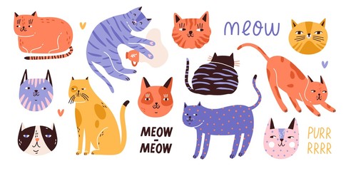 Collection of cute funny cats of various breeds lying, sitting, stretching itself, playing, sleeping and muzzles. Bundle of adorable pet animals isolated on white background. Flat vector illustration. © Good Studio