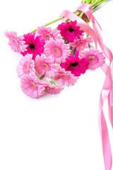 Gerberas Pink gerberas on a white background. A bouquet of flowers tied with a pink ribbon. Isolate on white background