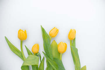 A bouquet of fresh, beautiful tulips arranged on white, isolated background copy space