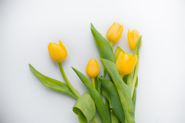 Naklejka premium A bouquet of fresh, beautiful tulips arranged on white, isolated background copy space