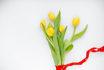 Bouquet of yellow Spring tulips with red ribbon isolated on white background.Top horizontal view copyspace