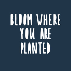 bloom where you are planted