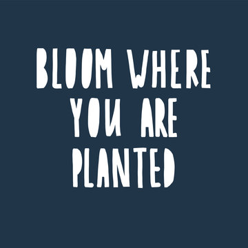 Bloom Where You Are Planted