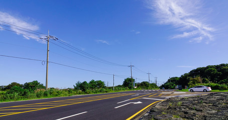 Asphalt road with pine tree forest