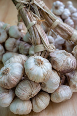 Pile of white garlic heads on wood background
