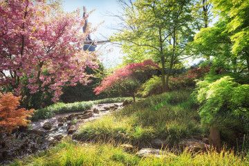 Spring landscape. Nature in blossom