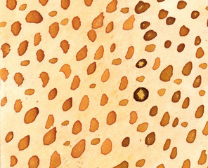 watercolor hand painted background with dots.