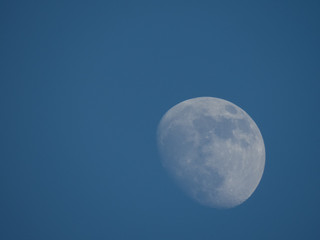 the moon in the early evening