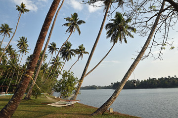 Farniente au Kerala, Inde du Sud