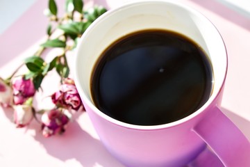 Cup in a bright color palette of lilac shades with coffee, tea. Next is a green sprig of plants, top view on a pink background