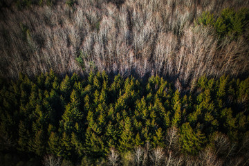 Abstract Aerial of Fields and Trees