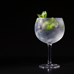 gin and tonic cocktail, glass