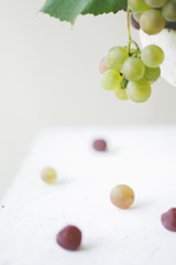 緑と紫のぶどう