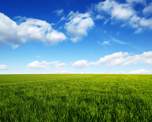 green field and blue sky