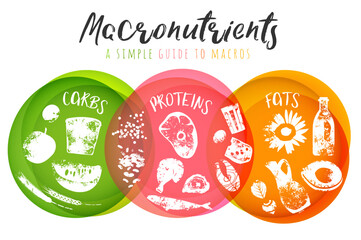 Main food groups macronutrients
