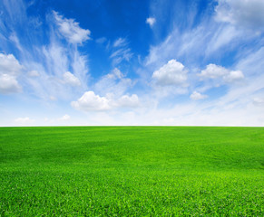 Obraz premium green field and blue sky