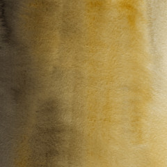 Gold luxury ink and watercolor textures on white paper background. Paint leaks and ombre effects. Hand painted vintage texture.