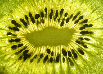 Close up of kiwi slice. Texture of kiwi macro. Slice of kiwi macro.