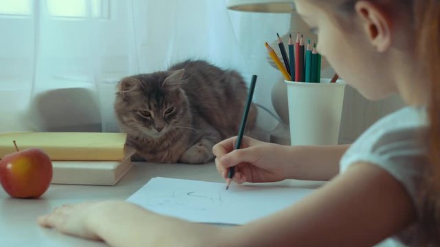 closeup of little girl drawing a picture and stroking her pet cat