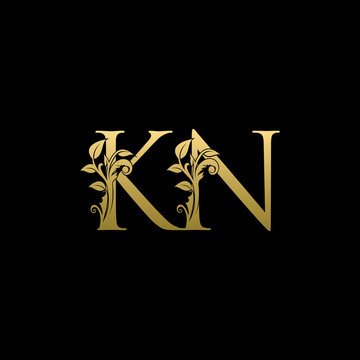 Golden Luxury KN Letter Logo