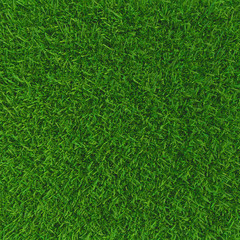 Green grass. background texture. fresh spring green grass. 3d rendering
