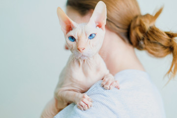 Woman holding hairless cat Don Sphynx breed with pink naked skin on her shoulder
