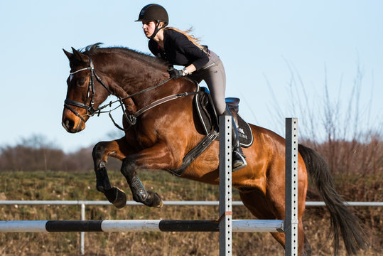 Pferd springt drau&szlig;en &uuml;ber ein Hindernis