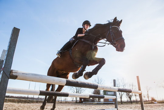Pferd springt &uuml;ber ein Hindernis