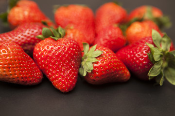 récolte de fraises bio