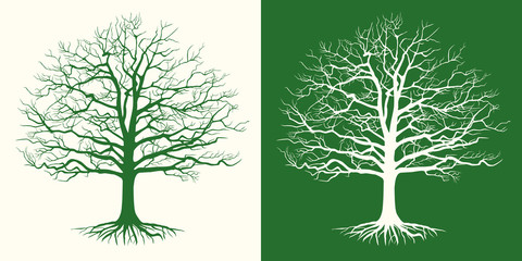 Set of two silhouettes of a bare tree . Vector illustration.