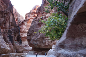 Jordan; the canyon of Petra