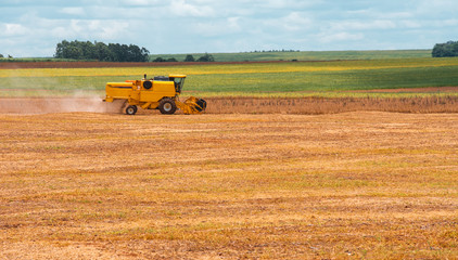 Colheita de soja no interior do Paraná