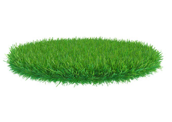 green grass piece isolated on white background. 3d rendering