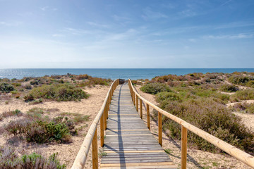 Fototapeta na wymiar Wooden pathway over dunes and pines at beach in Punta Umbria, Huelva. Los Enebrales beach