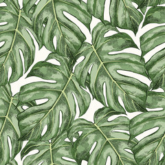 Monstera leaves hand drawn seamless color pattern