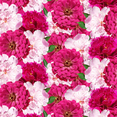 Beautiful floral background of tsiniya and peonies 