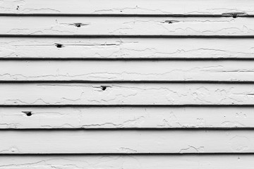 Obraz premium Civil War park