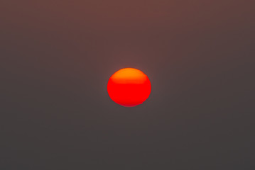 The sun is the whole life.5