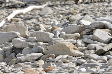 A Rocks Perspective
