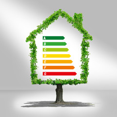 maison écologie,échelle énergétique