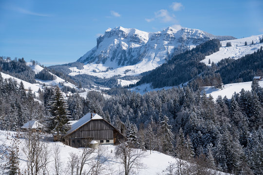 Winterlandschaft mit Bergwald und Bergmassif (Hohgant) in den Berner Voralpen