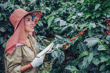 A woman in the hand holding a notebook and standing close to the coffee tree, learning about coffee.