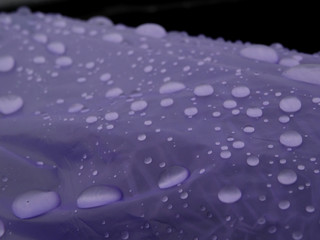 Condensation drops on the polyethylene film close up
