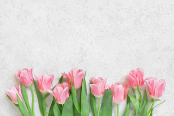 White textured background with fresh tulips