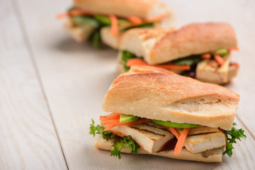 Close up on vegetarian sandwich