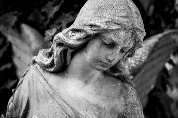 A fragment of ancient sculpture angel in a golden glow in the old cemetery. Symbol of love, invisible forces, purity, enlightenment, ministry. Chariot. Black and white.