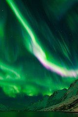 Polarlichter auf den Lofoten