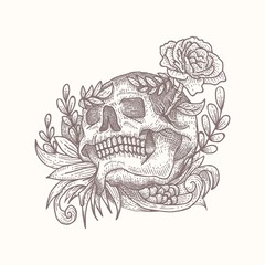 skull decoration vector illustration