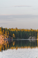 Reflection in a lake