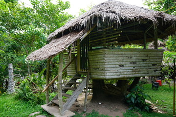 Small wooden hut in the jungle in the Philippines